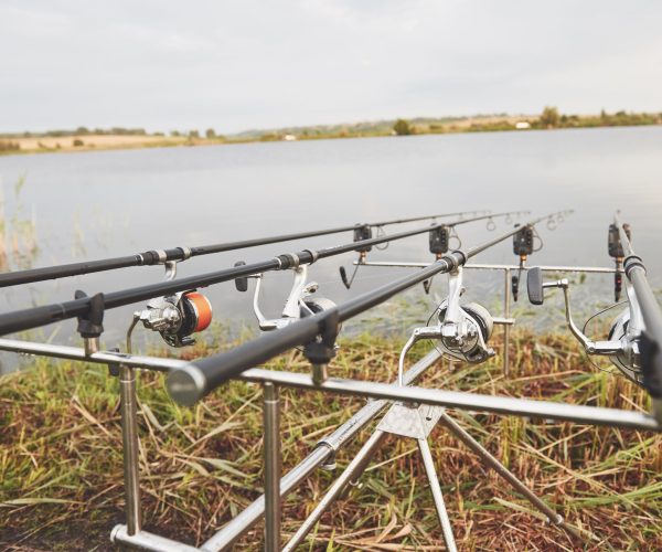 Carp fishing rods standing on special tripods. Expensive coils and a radio system of crochet. Hunting and hobby sport.